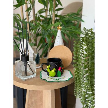 Kaktus Sukulentsever Fincan - hanimdanhalka.com